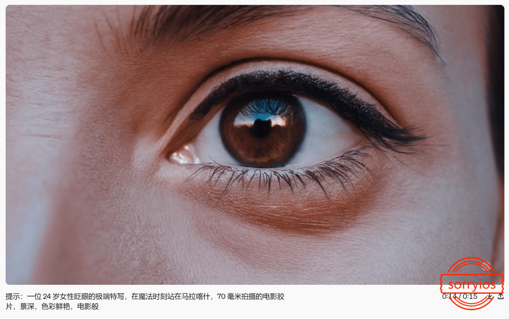 图片[4]-OpenAI推出Sora模型！ChatGPT将实现AI生成视频！